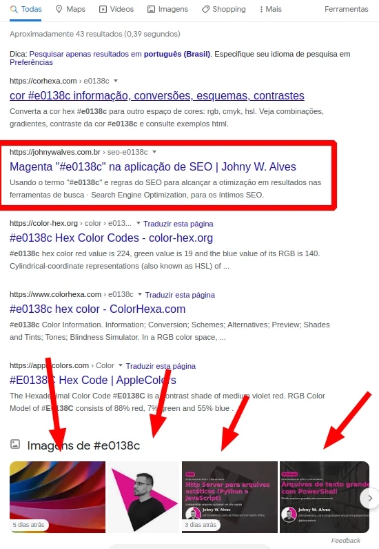 Resultado de pesquisa no Google Search para o termo "#e0138c", magenta vibrante, na segunda posição e imagens são todos uma referência a Johny W. Alves